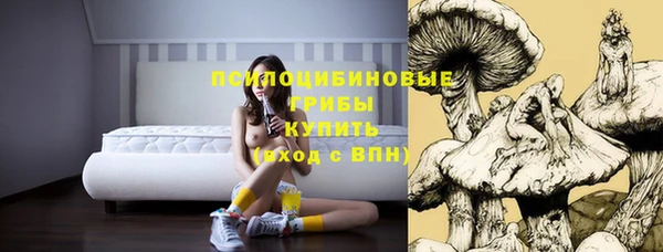 кокс Армянск