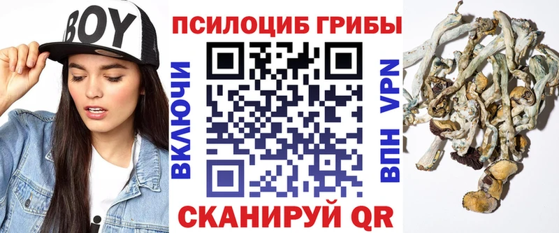 Псилоцибиновые грибы прущие грибы  как найти наркотики  Малоярославец 