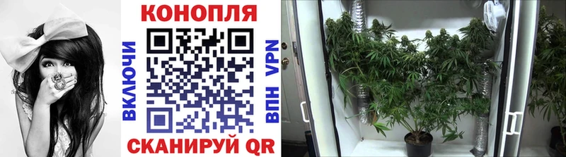 Бошки Шишки THC 21%  кракен зеркало  Малоярославец 